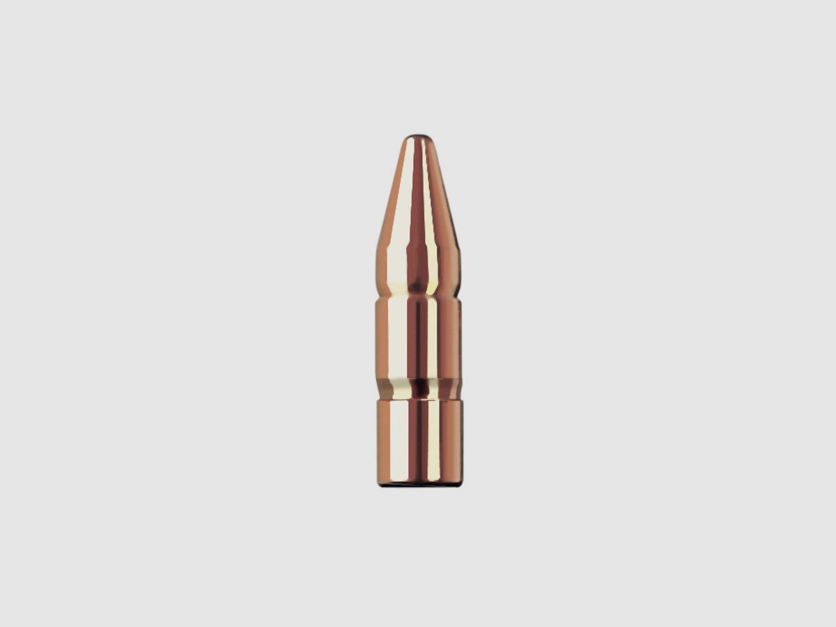 RWS Bullet .30 10.7g DK