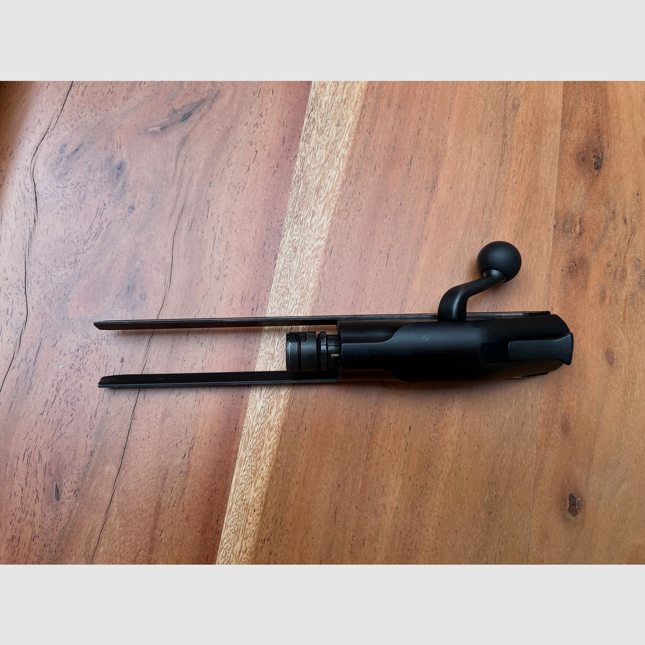 Blaser R8 Professionell Success 