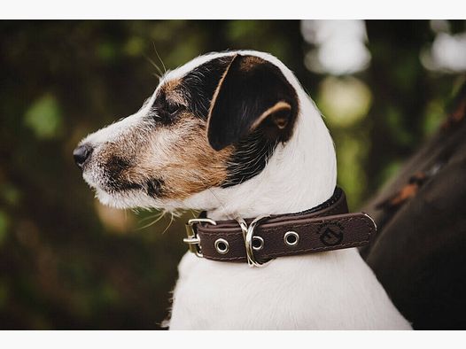 Halsband Comfort - Bruin
