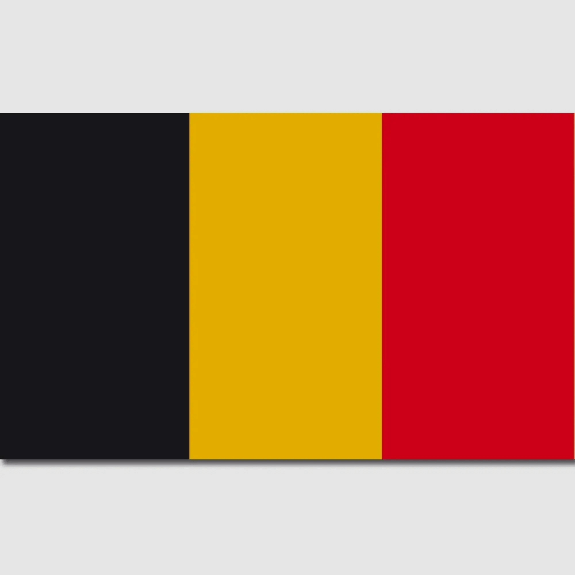 Bandiera diversificata del Belgio