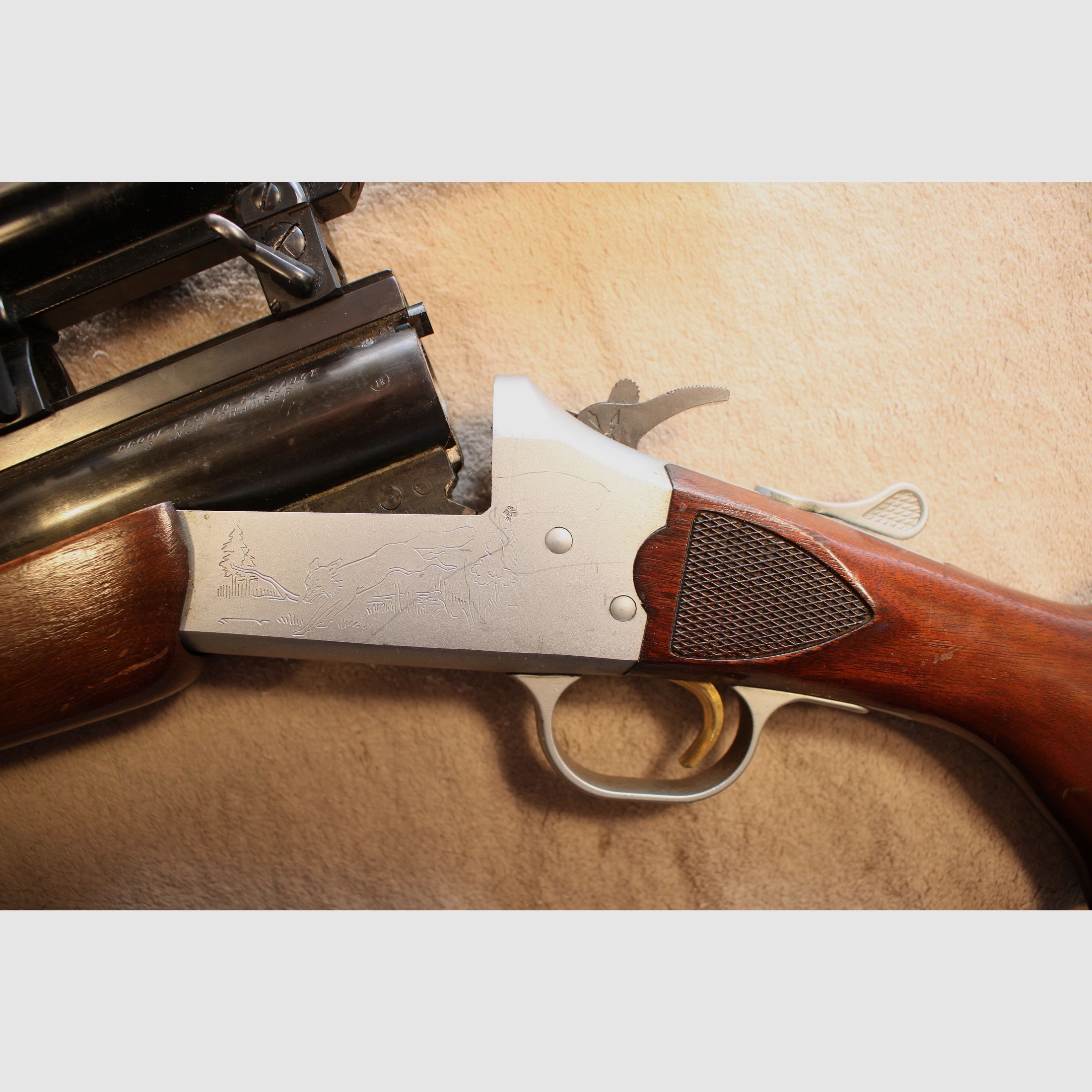 Sachonzeit BBF de Savage.