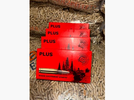 GECO Plus TLM bonded, .308Win. / 11,0g/170grs