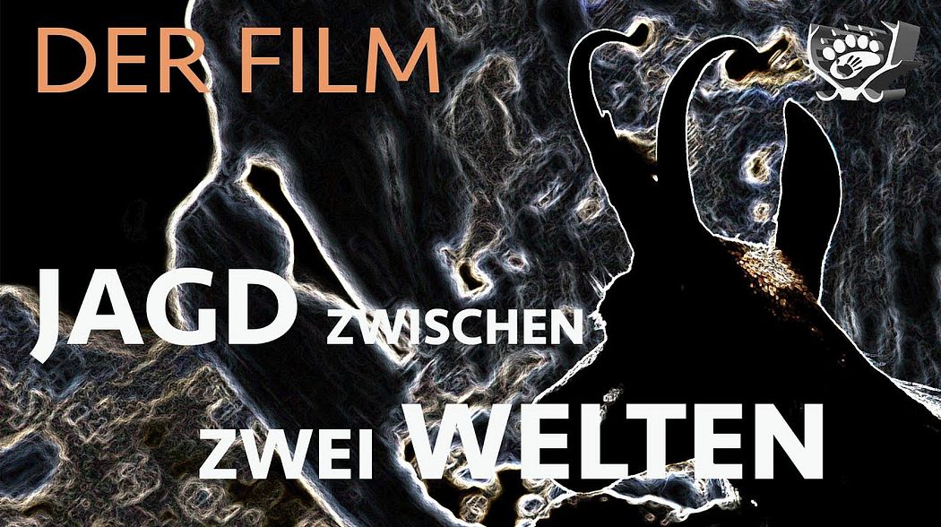 JAGD ZWISCHEN ZWEI WELTEN | GAMSJAGD | GÄMSJAGD | Bergjagd | Hunting movie