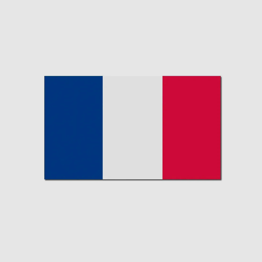 Diverse Flagge Frankreich