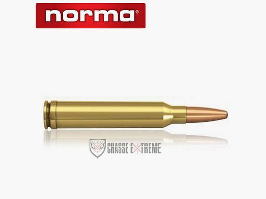 20 cartuchos NORMA Cal 300 Wm 200gr Oryx