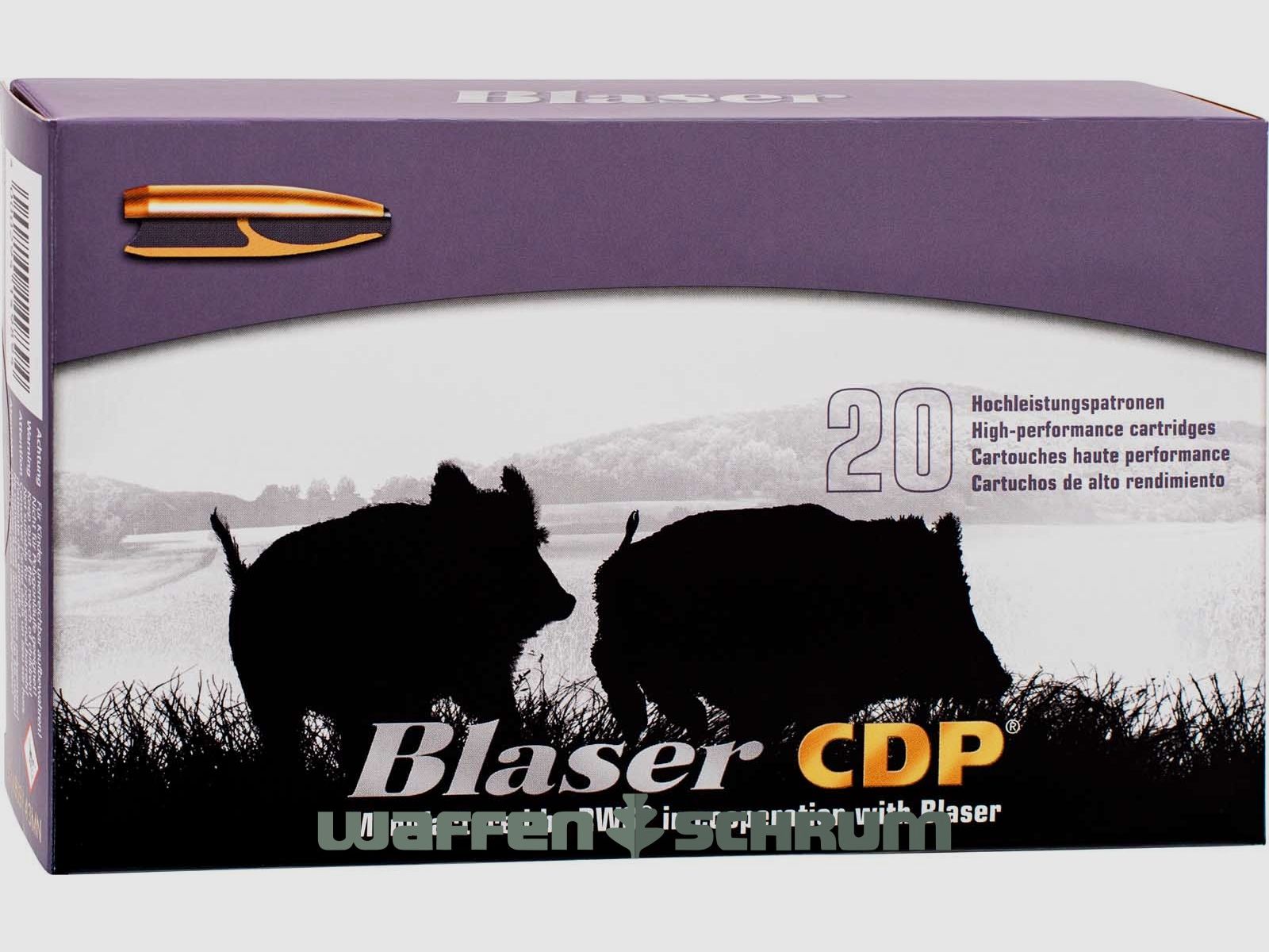 Blaser 9.3x74R CDP 18.5g - 285gr.