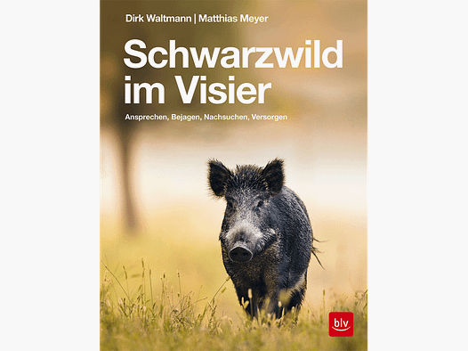 Livre "Sanglier en vue"