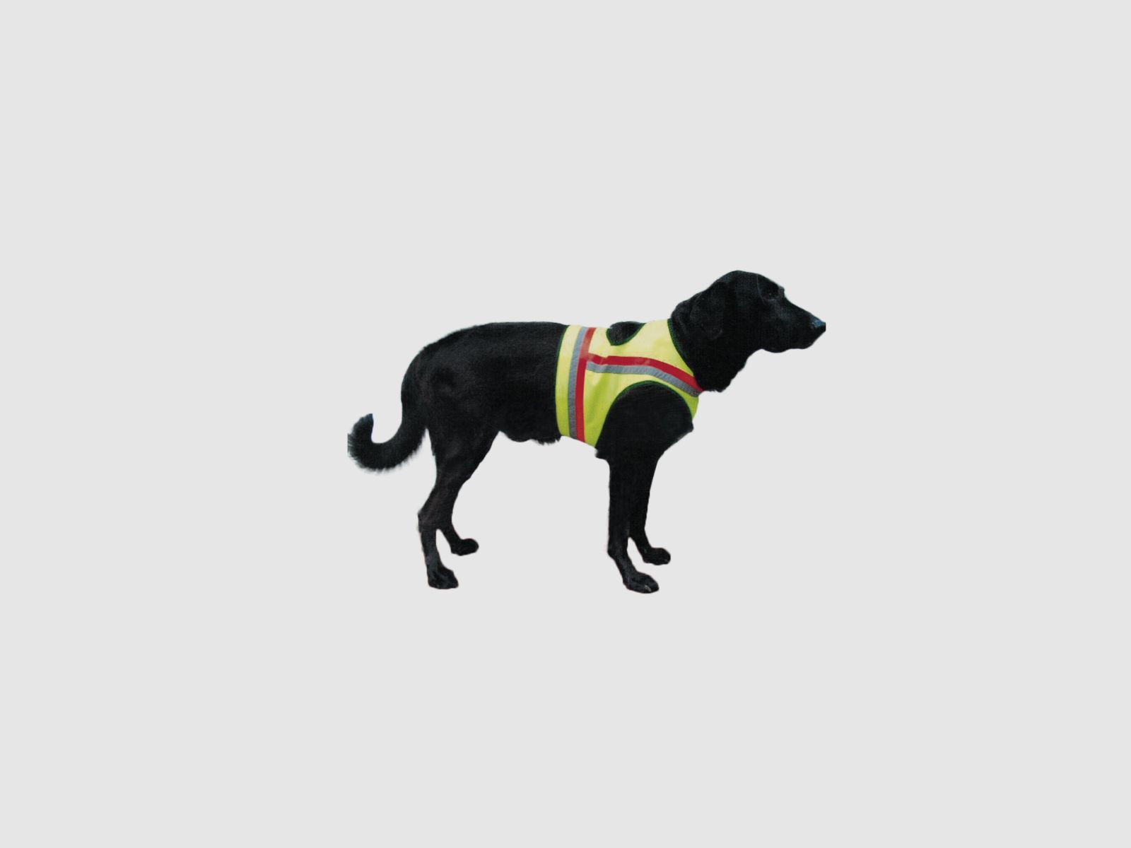 Hundewarnweste ohne Tasche