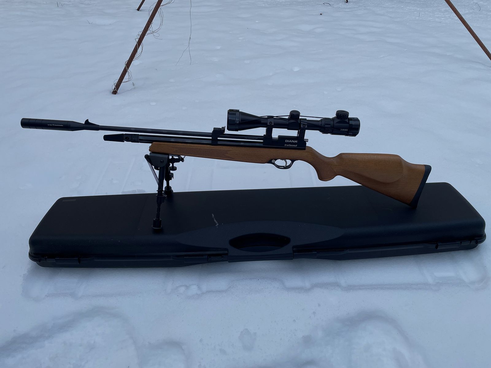 Diana Trailscout Wood Co2 4.5 diabolo p18