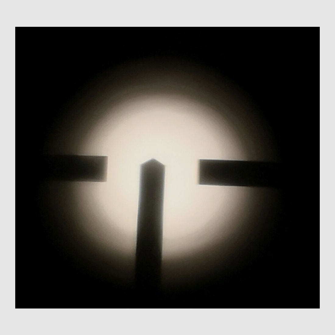 Honold Ulm avec Zeiss Diastal 8x52