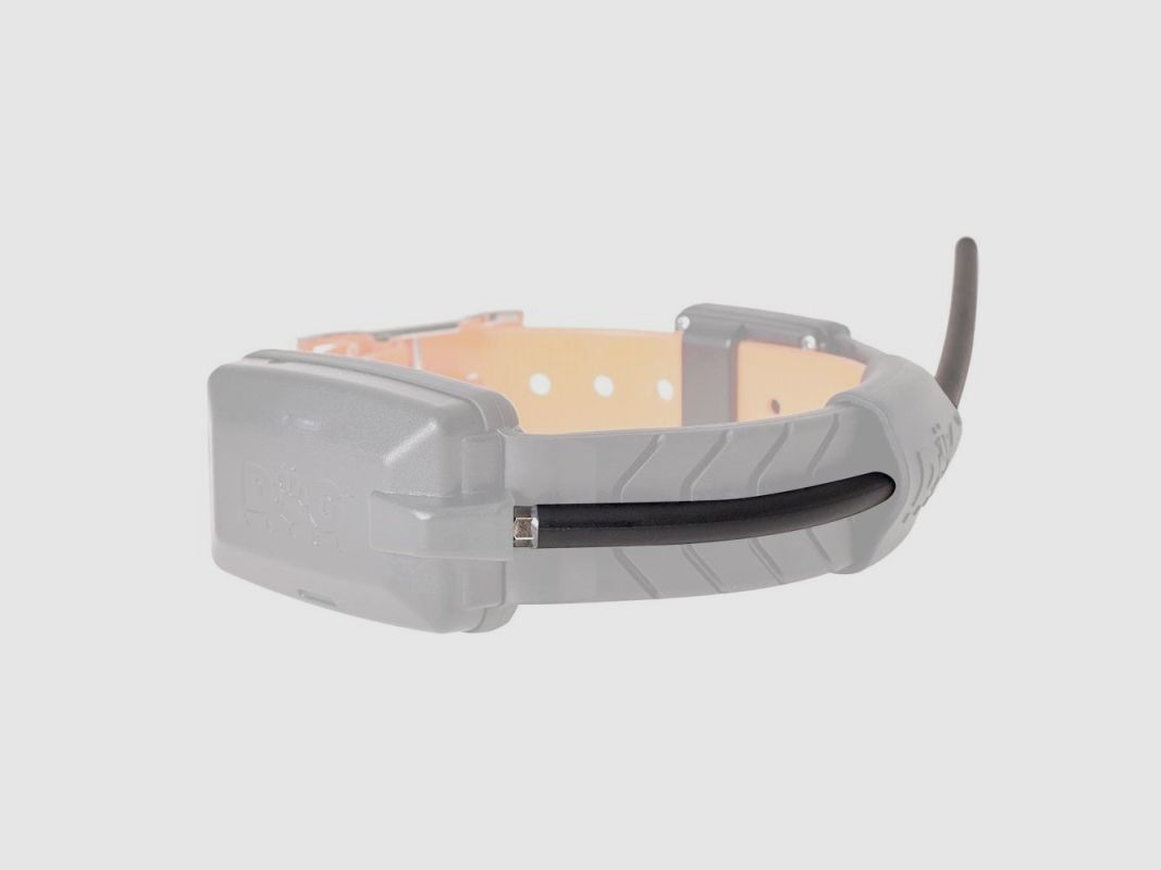 RF-Antenne für Halsbänder X20 und X30, Bild 6 von 6