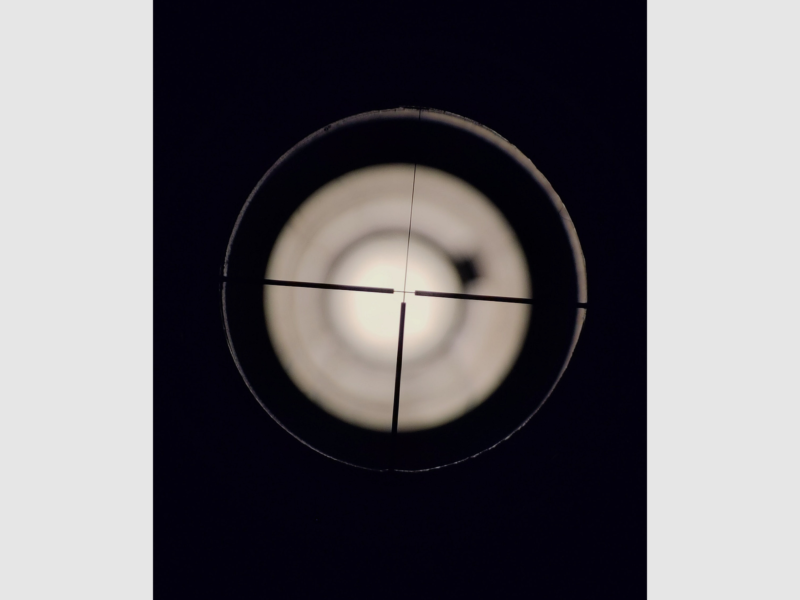 Mauser Lightning Hunter (M96) Répétiteur à verrou, Cal. 30-06