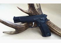 CZ 85