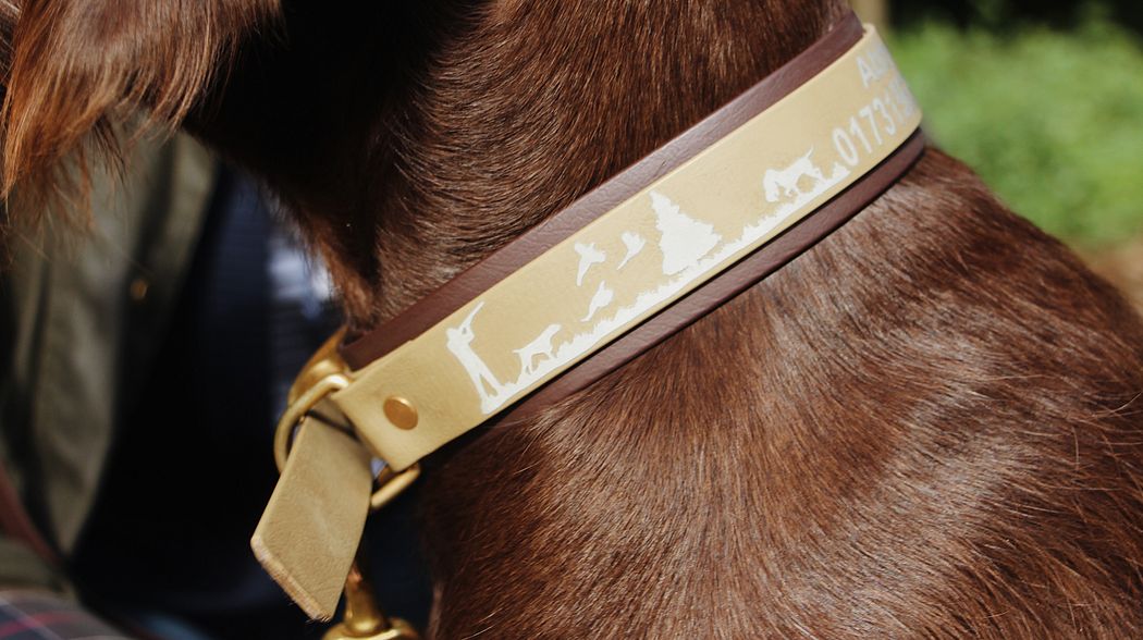 Halsband und Leine vom Jagdnasen-Shop