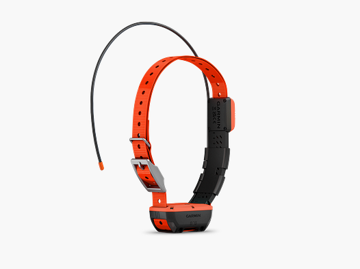 collier de repérage GPS Garmin T20