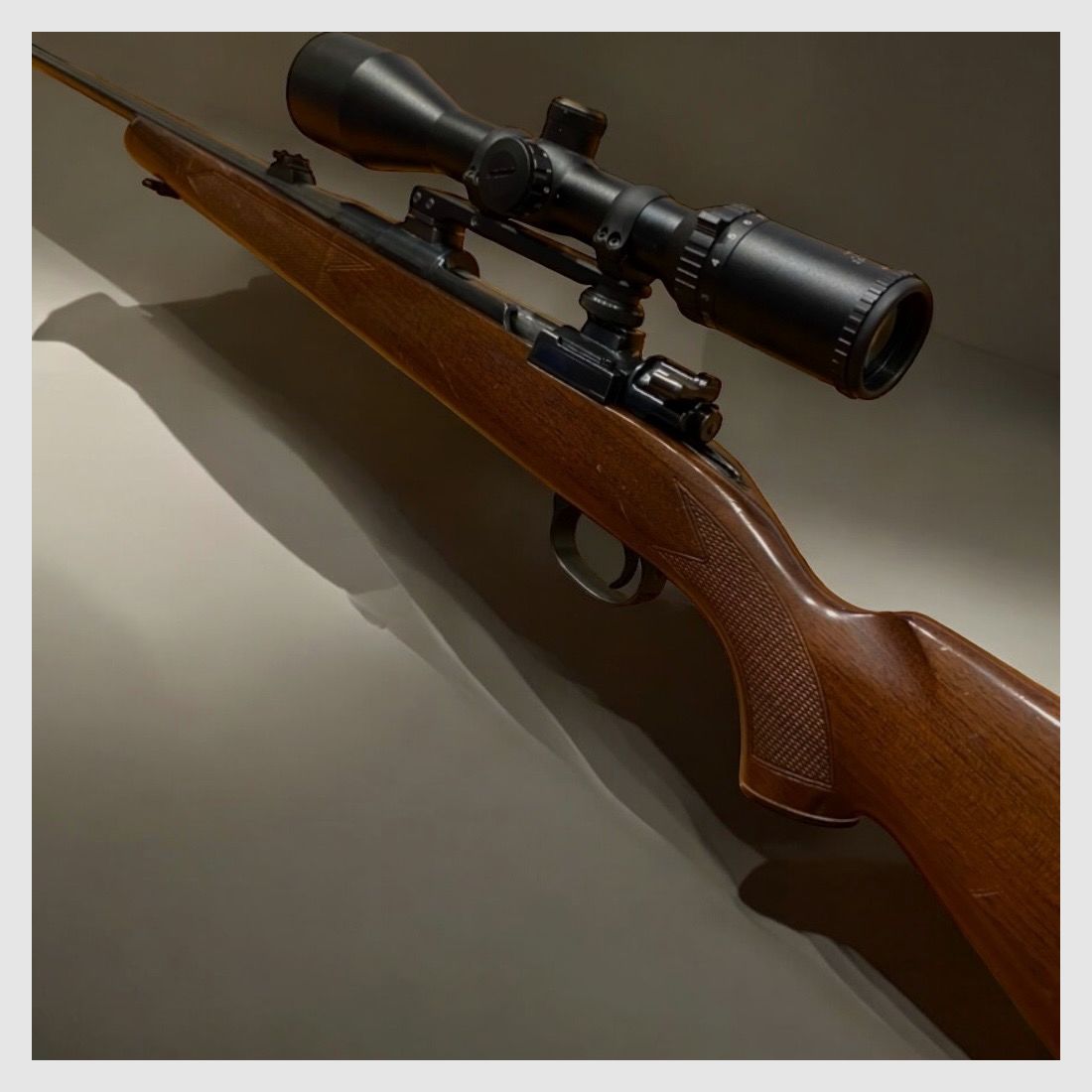 Mauser 98, incl. 2.5-10x50 Fritzmann Olivon