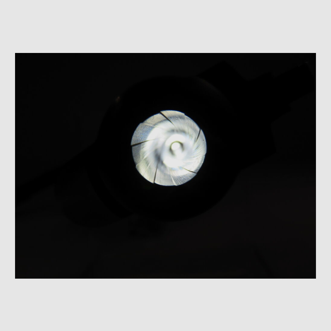 Revolver Taurus Euro Champion en acier inoxydable de 6 pouces