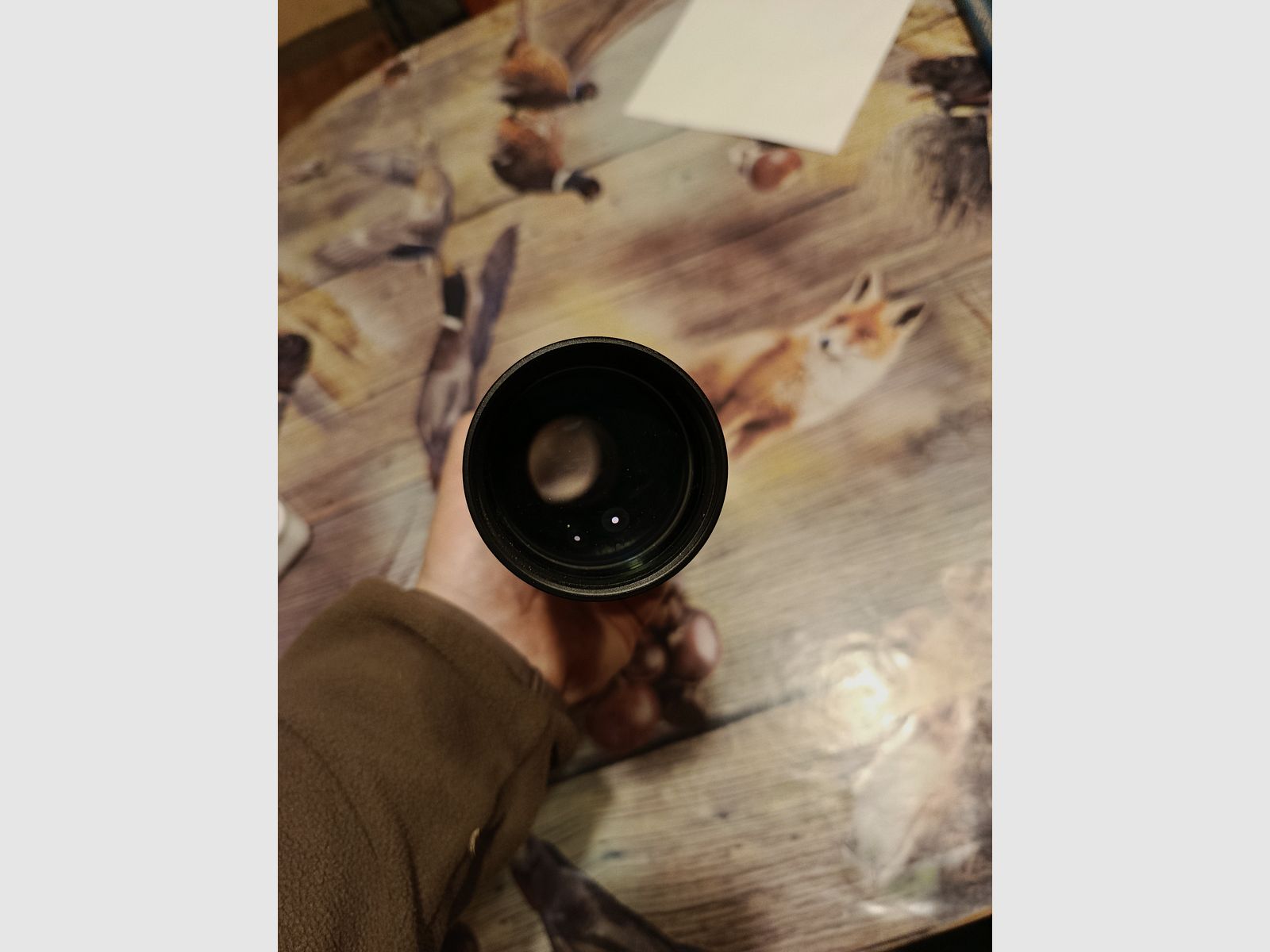 Steiner Nighthunter 2-10x50