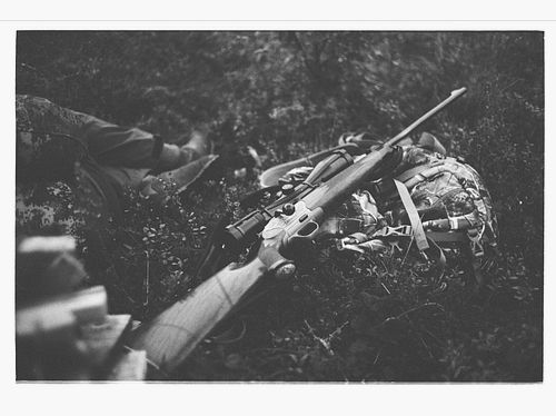 Blaser R8 Luxus Sondergravur – 10,3x60R – Zeiss Victory HT 3-12x56