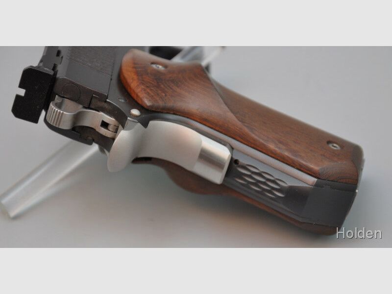 Holden Custom Guns 1911 10mmAuto