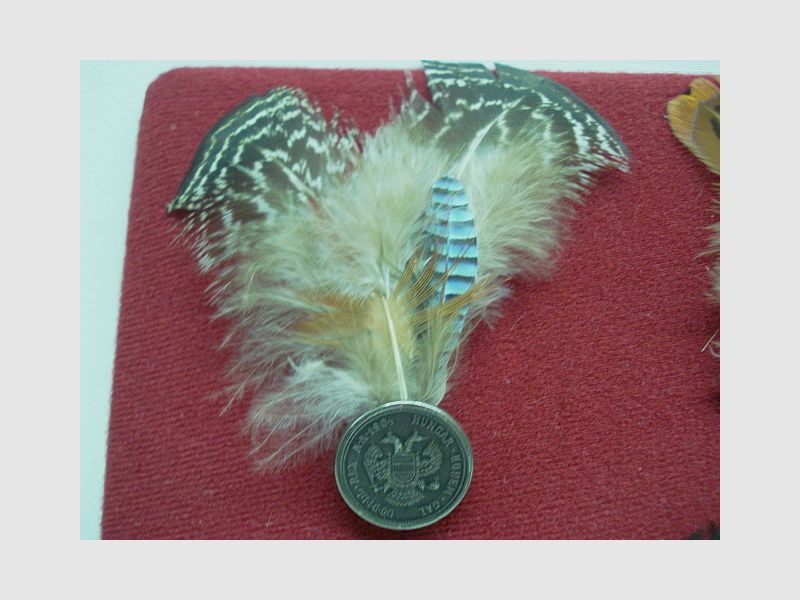 Hutfeder Jagd -