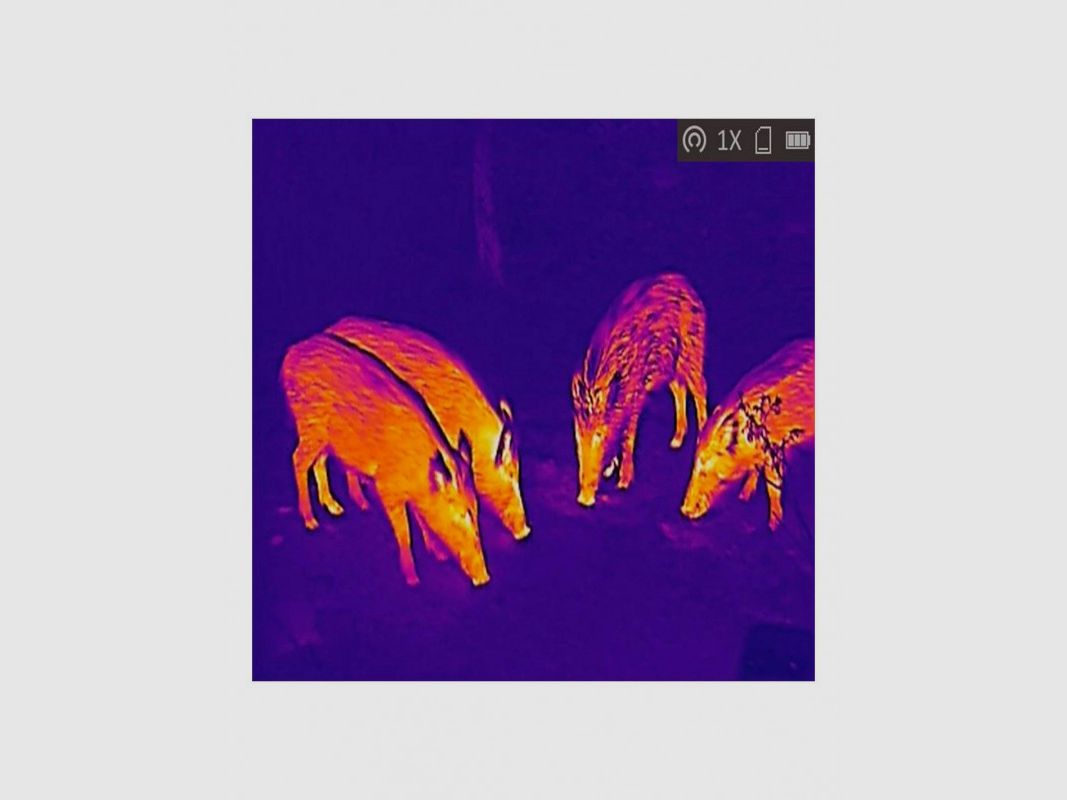 Hikmicro Lynx Pro LH25 2.0 thermal monocular, image 5 of 6