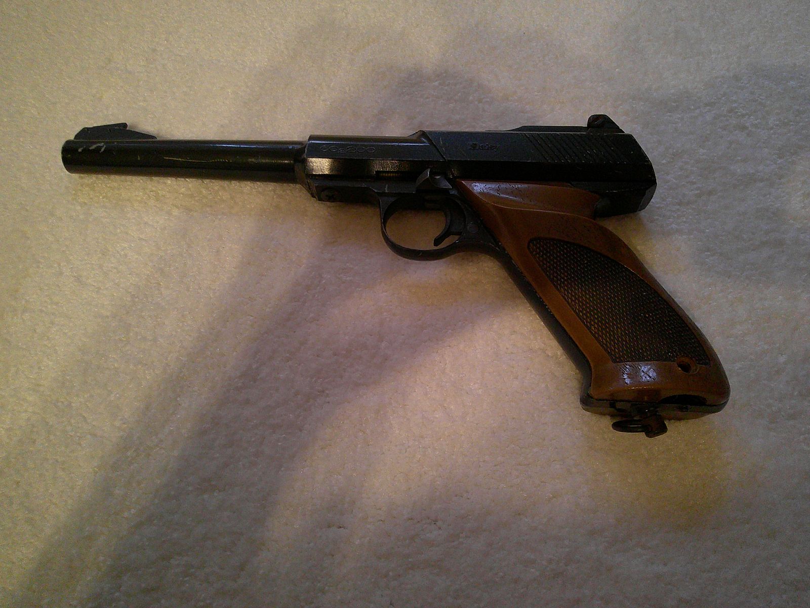 Daisy Model 200
