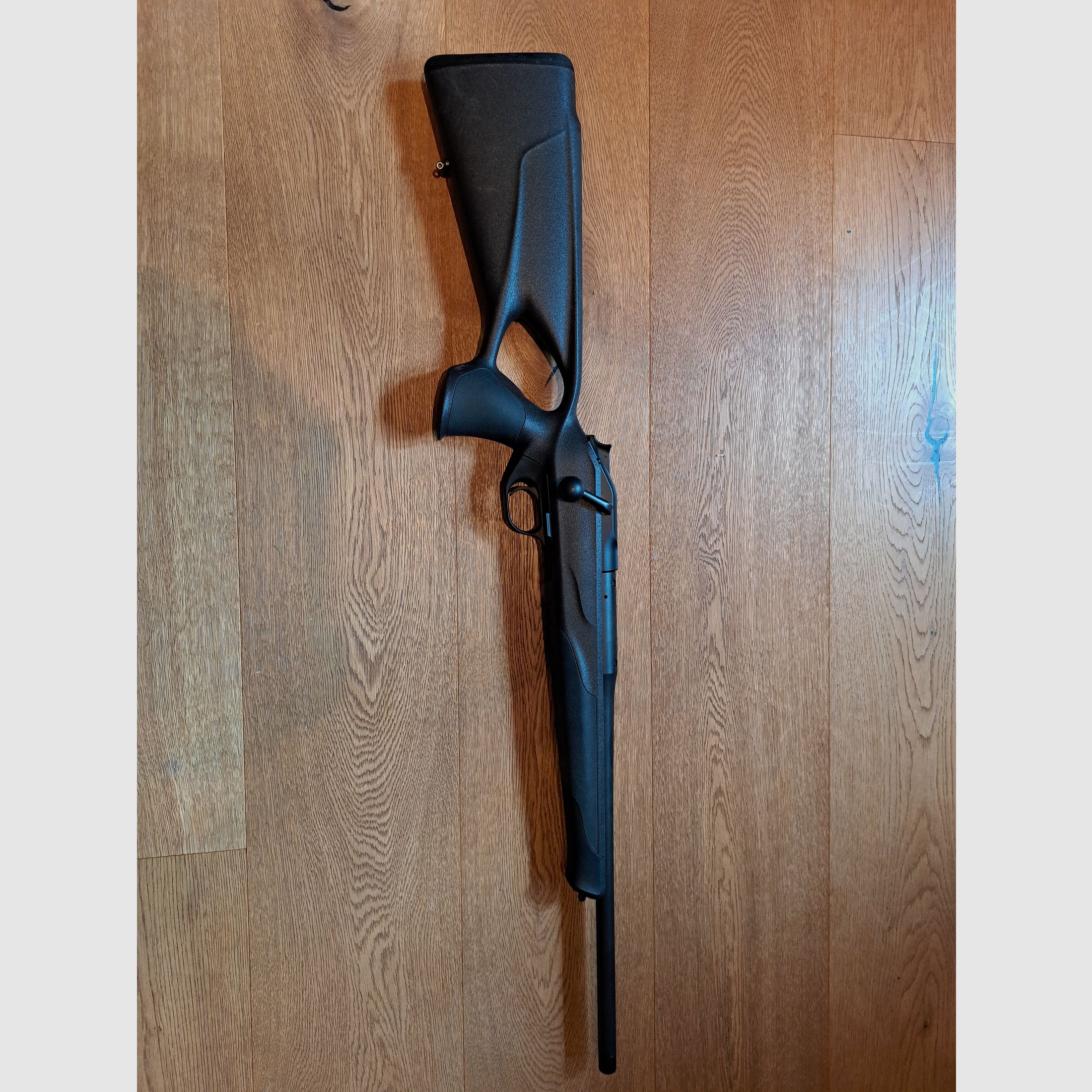 Blaser R8 professional success. 308 Win.