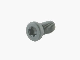 Spuhr T10 Schraube für Spuhr SS Sauer Serie