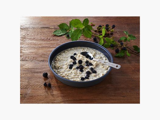 Trek‘n Eat Protein Porridge