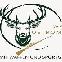 Waffen Ostrominski