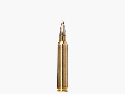 Norma Ammo .300 Win Mag Evostrike 9 g / 139 gr VE20