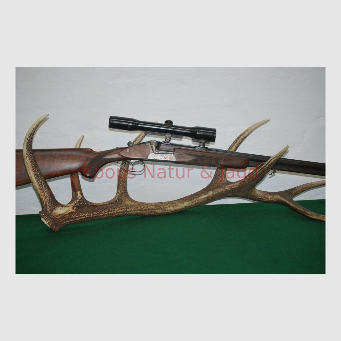 Sauer & Sohn 54
