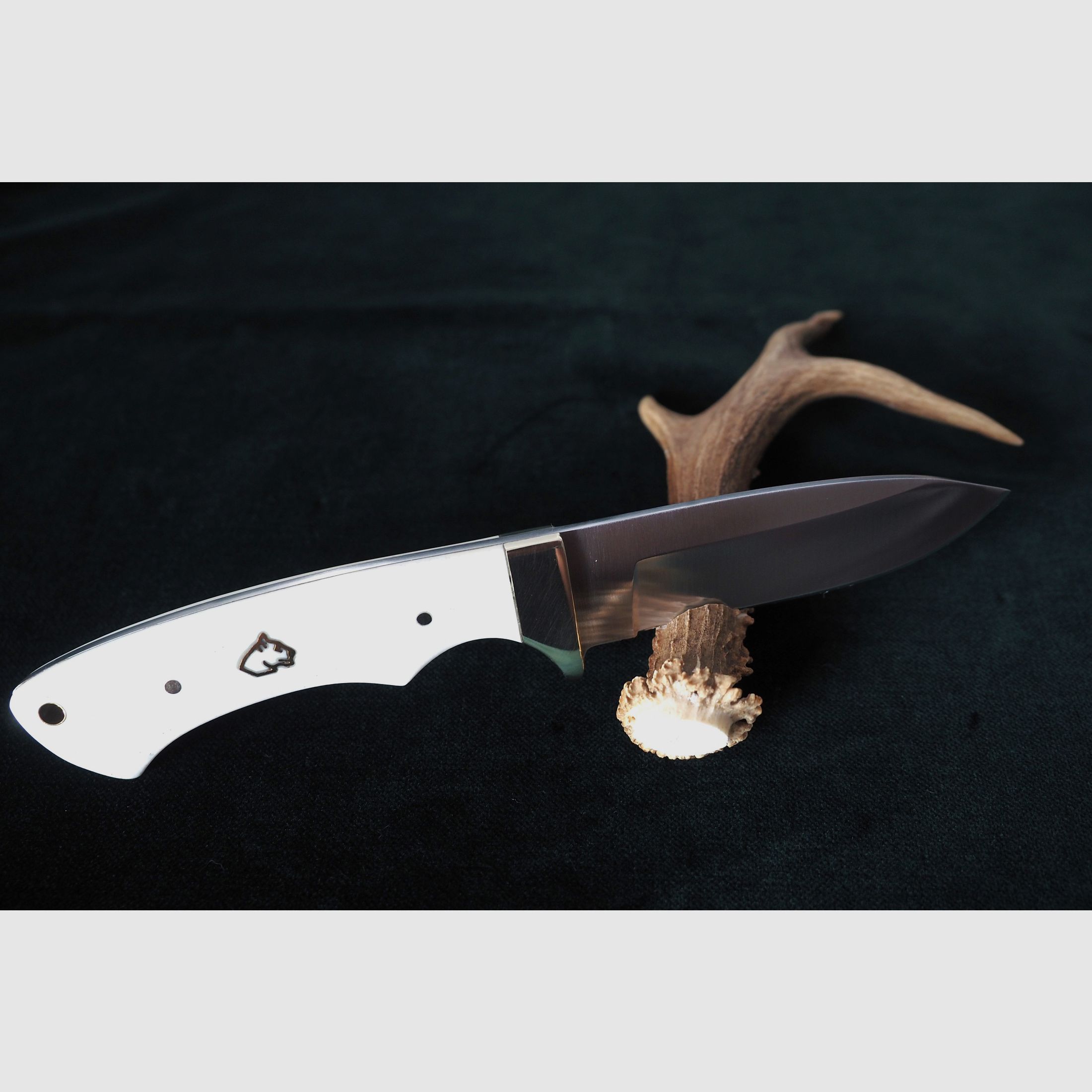 Puma SGB Coyote Glattes Weißes Knochen-Jagdmesser mit Lederscheide, Vitrinen Stück aus Sammlung, Neu und unbenutzt