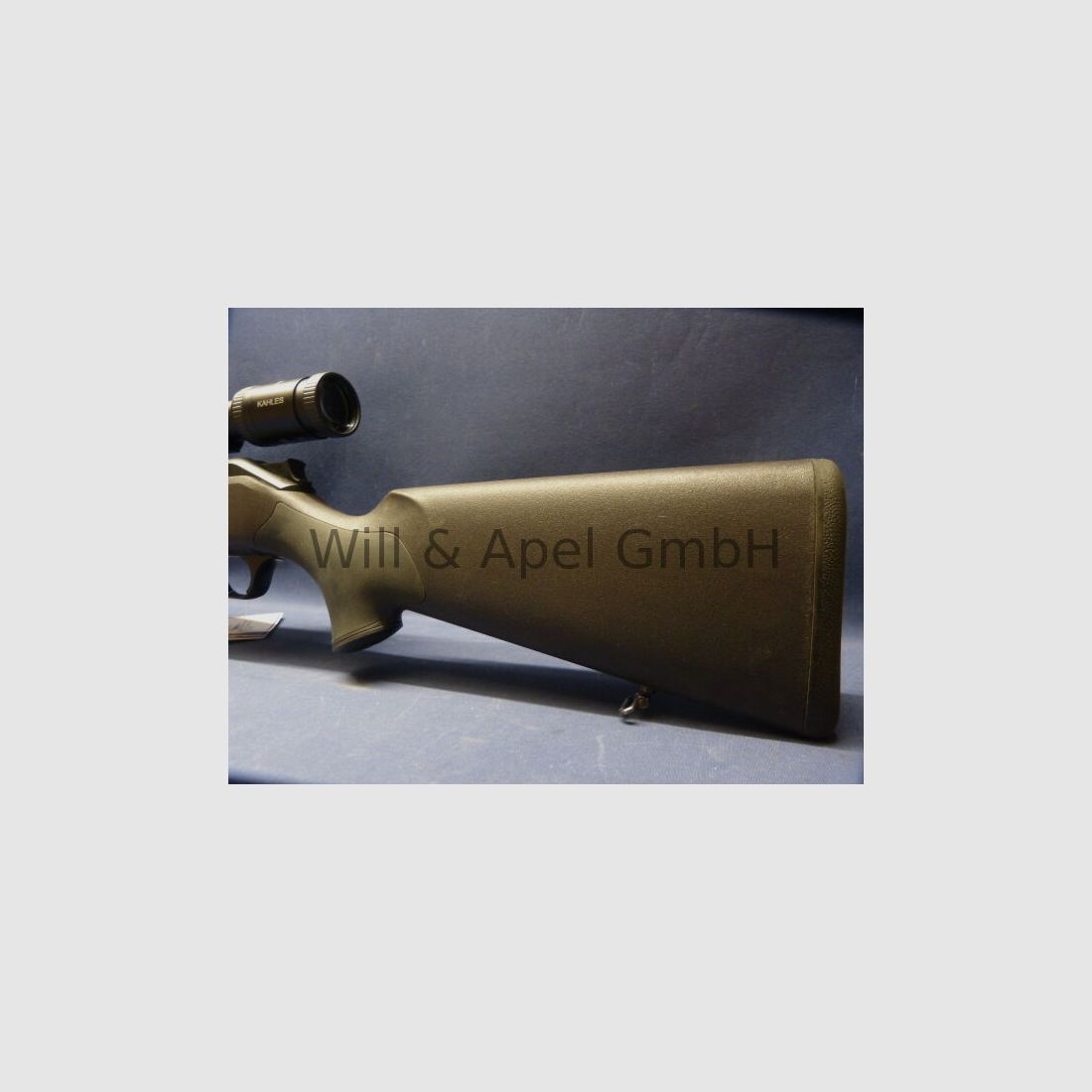 Blaser R8 Professional