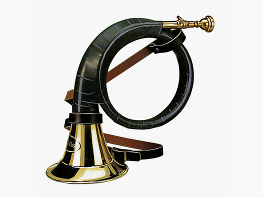 Fürst-Pless-Horn B