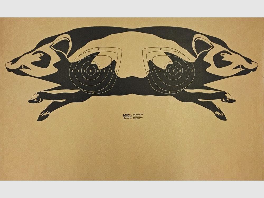 Bild Wildschwein für Moving Range 2022