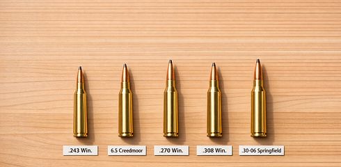 Top 5 Kaliber für Jagdanfänger