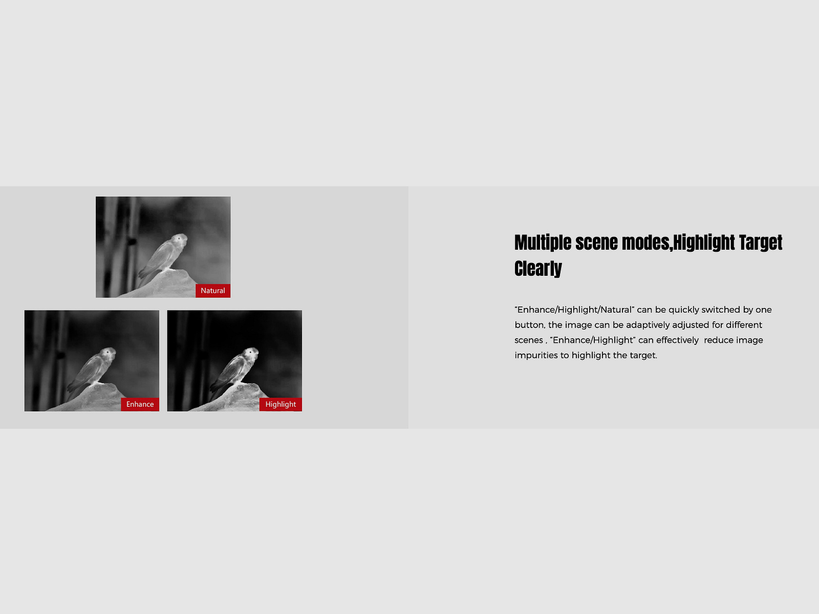 Guide Wärmebildfernglas TN430 Binocular Handheld 400x300 Sensor