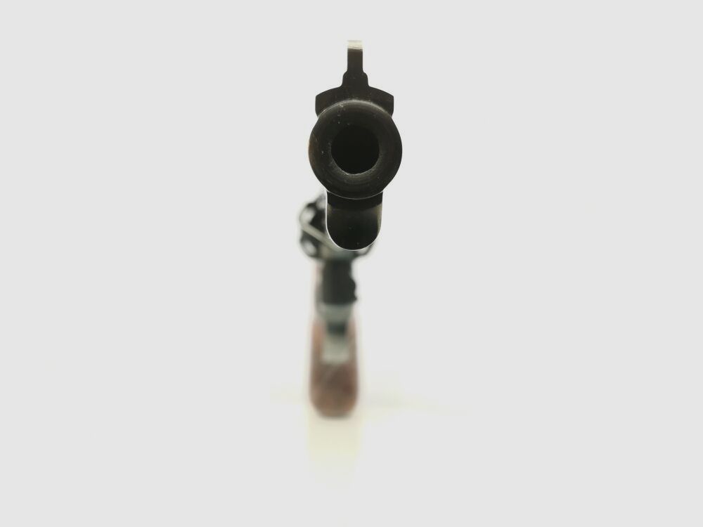 Taurus 669 * 6" canon