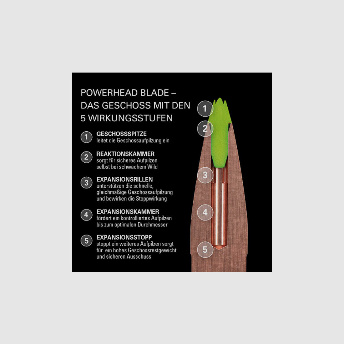 Sako - Finnland Sako Blade 120gr 6,5mm (.264)