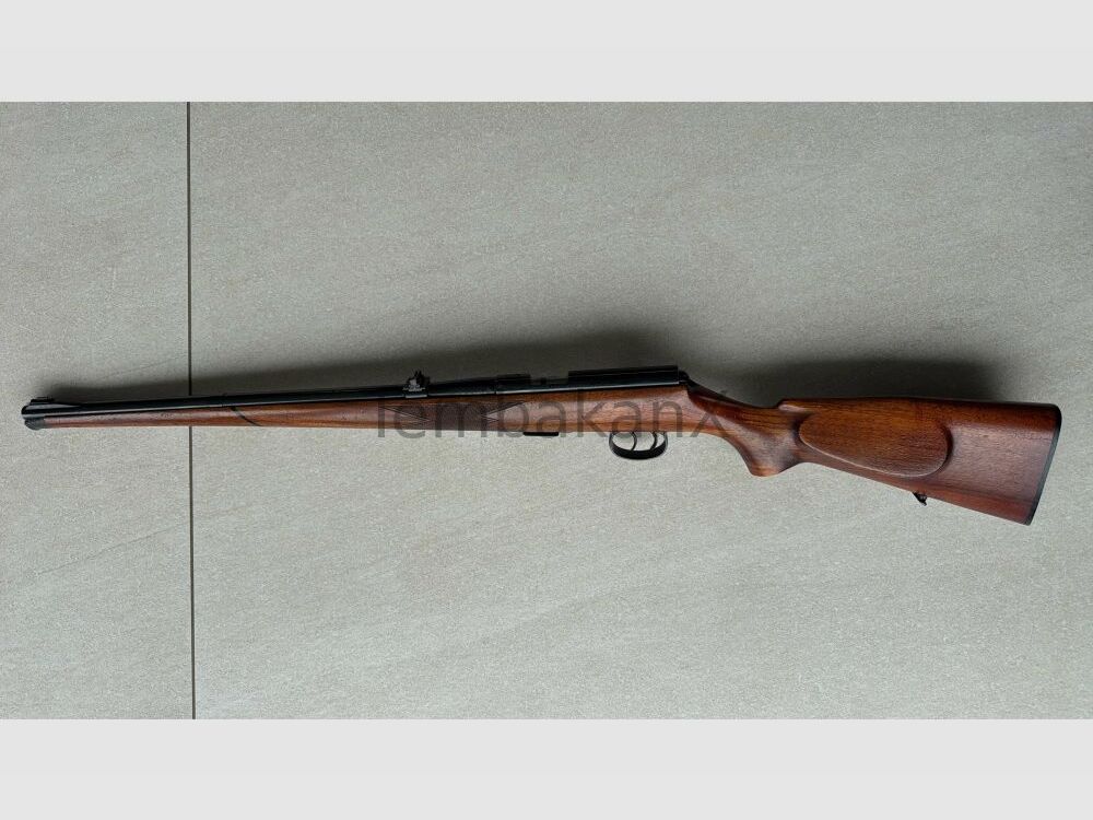 Anschütz Stutzen .22lr