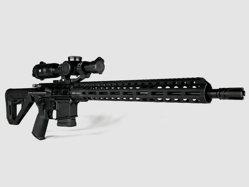 DWB-15 Entry conjunto completo AR15 ajustado