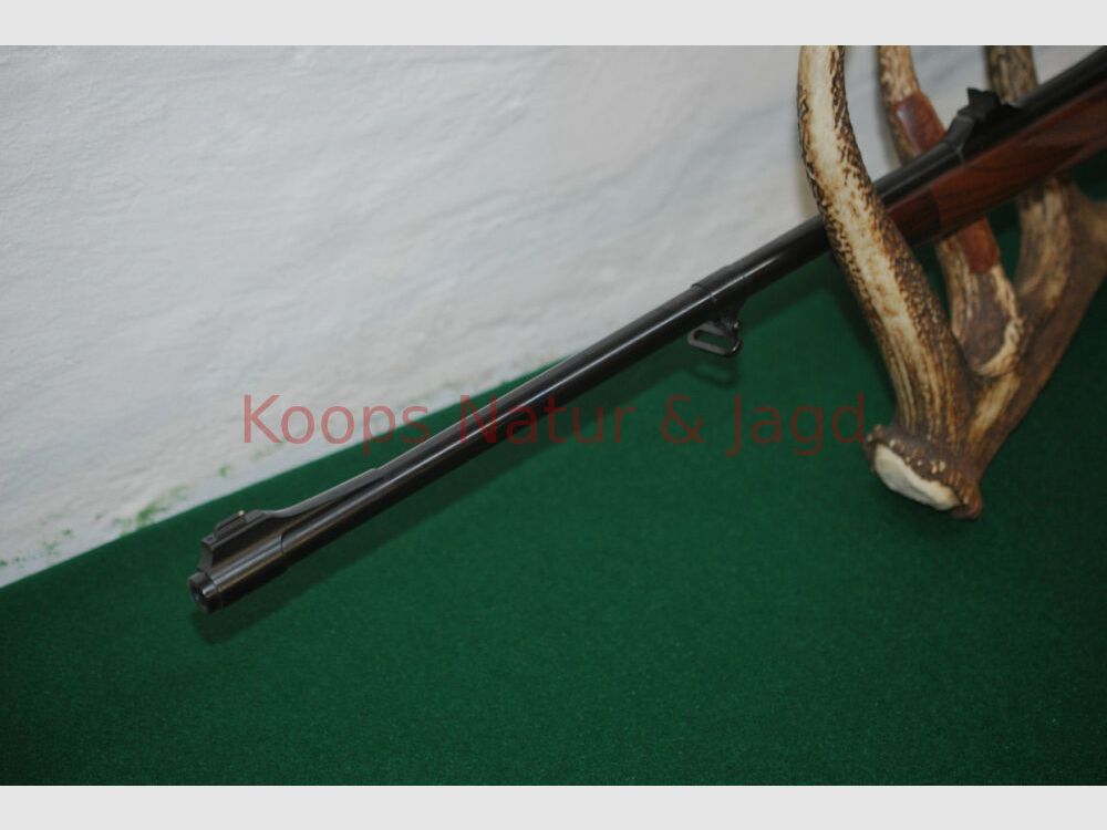 Klaus Koops 98 DWM-systeem