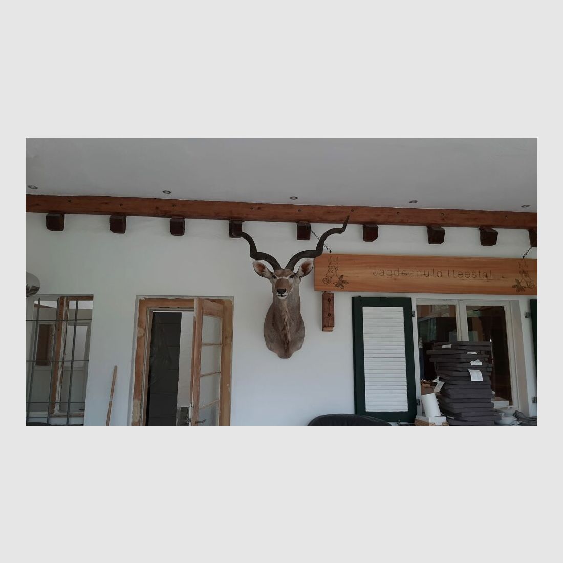 Kudu trofee Afrika beursstand decoratie preparaat taxidermie