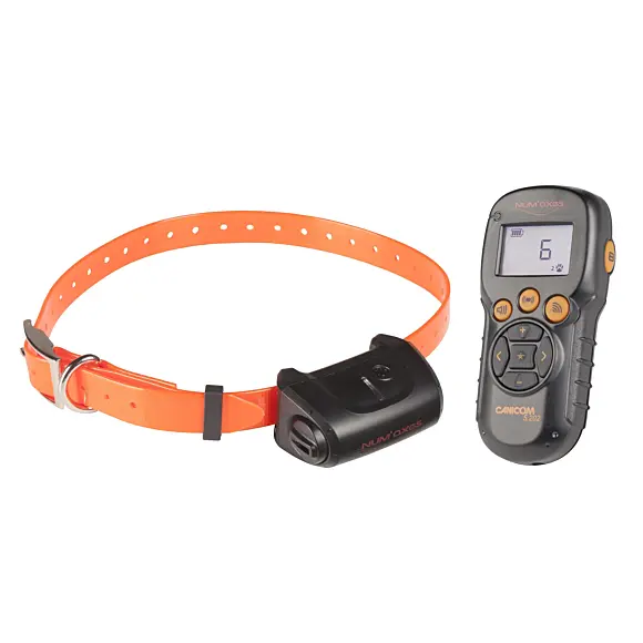 Kit Collier Education Num'Axes Canicom 5.202 Deux Chiens