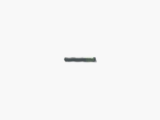 RUGER SR9 Guide Rod Assembly 9mm