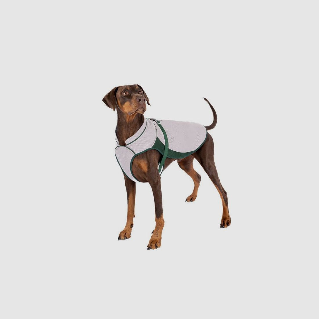 Ruff and Tumble Hundekühlmantel