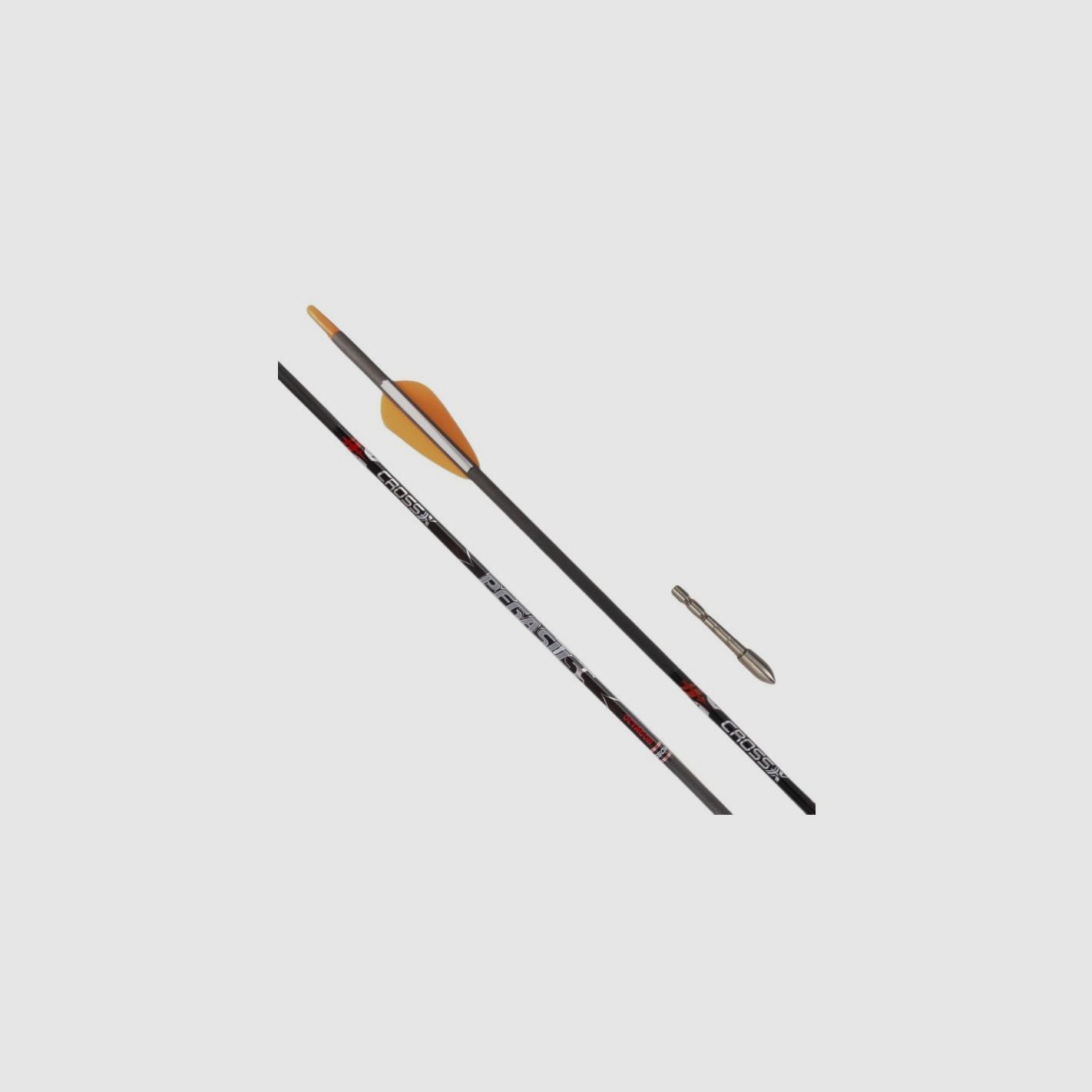 Carbonpfeil für Bogen Cross-X Pegasus Octagon 1000 von 32’’, Bild 1 von 2
