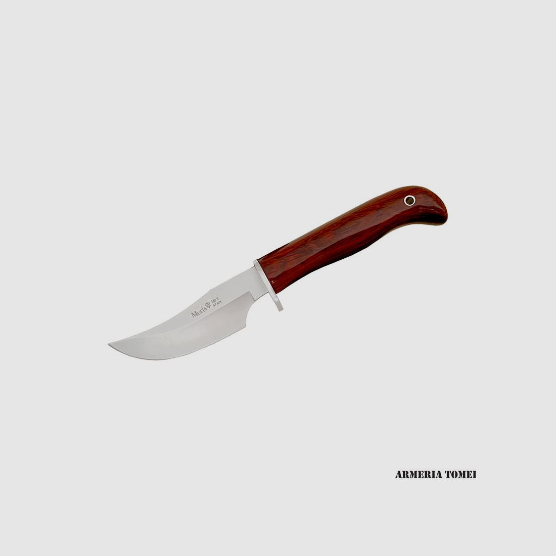 Couteau – Muela – Skinner Wood DP-10R, image 1 sur 2